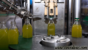 Lagerung_und_Abfüllung_Olivenöl2