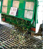 Transport_und_Aufnahme_Olivenöl2